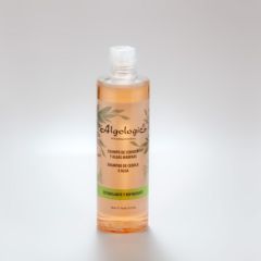 Acheter ALGOLOGIE Shampoing Oignons et Algues 300 ml Par 13,03€