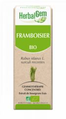 Comprar HERBALGEM Frambueso Bio 15 ml Por 18,10€