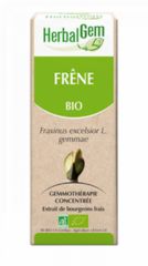 Kopen HERBALGEM Biologische as 15 ml Door 18,10€