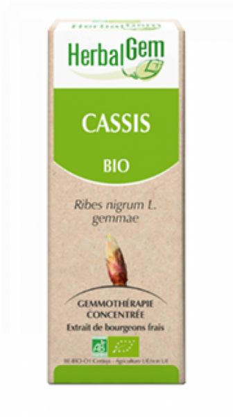 Biologische Zwarte Bes 15 ml - HERBALGEM