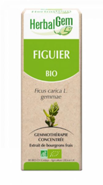 Figo Orgânico 15 ml - HERBALGEM