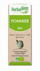 Kaufen HERBALGEM Bio Wildapfel 15 ml Von 18,10€