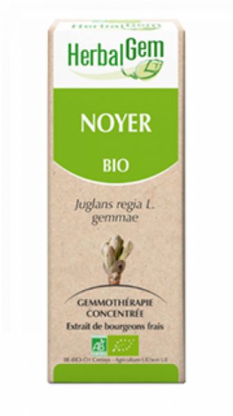 Noz Orgânica 15 ml - HERBALGEM