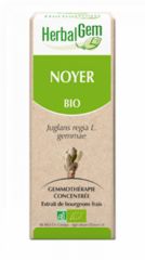 Comprare HERBALGEM Noce Bio 15 ml Di 18,10€