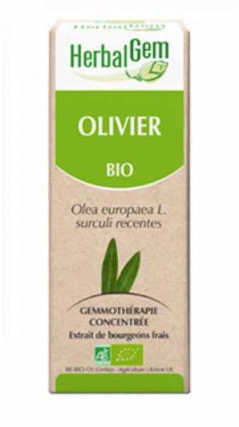 Biologische Olijfboom 15 ml - HERBALGEM