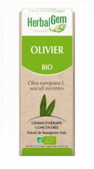 Buy HERBALGEM Organic Olive Tree 15 ml By 18,10€