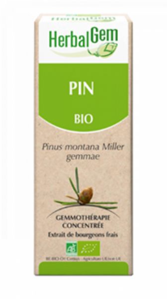 Organic Pine 15 ml - HERBALGEM