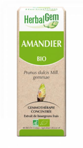 Amêndoa Orgânica 50 ml - HERBALGEM