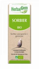 Kaufen HERBALGEM Bio-Eberesche 50 ml Von 26,65€