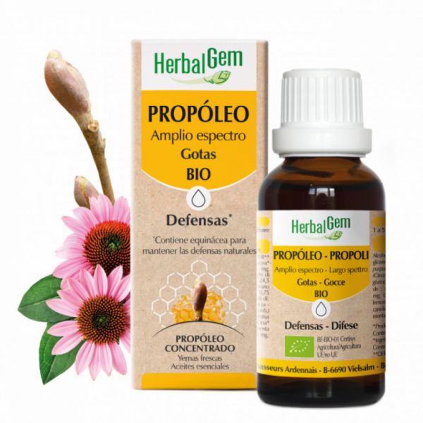 Bio-Breitspektrum-Propolis 50 ml. Der Verbündete bei den ersten Erkältungssymptomen