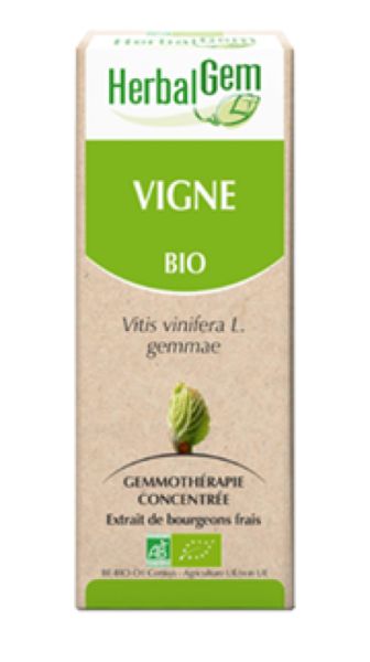 Bio-Jungweinrebe 15 ml - HERBALGEM