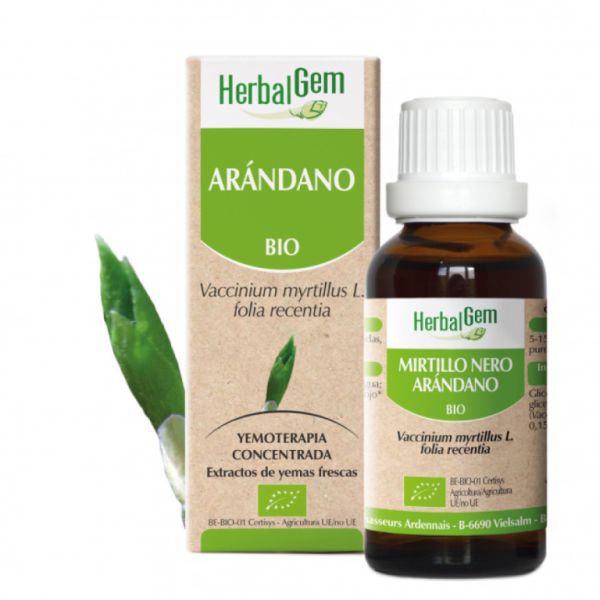 Mirtilo Orgânico 15 ml - HERBALGEM