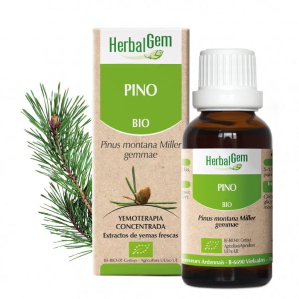 Organic Pine 50 ml - HERBALGEM