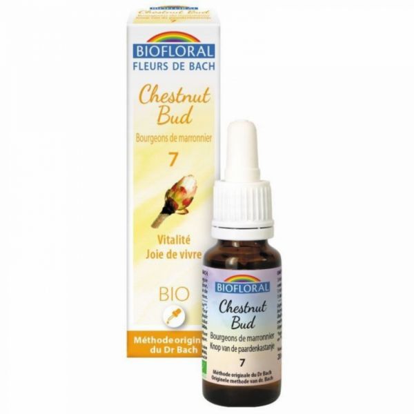 Bachblüten 07 Chestnut Bud BIO 20 ml - BIOFLORAL