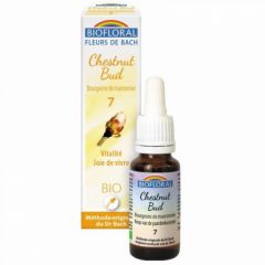 Comprar BIOFLORAL Flores Bach 07 Chesnut Bud BIO 20 ml Por 8,55€