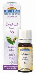 Buy BIOFLORAL Bach Flowers 33 Walnut BIO 9 g By 8,55€