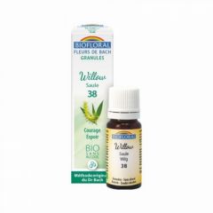 Kaufen BIOFLORAL Bachblüten 38 Willow BIO 9 g Von 9,90€