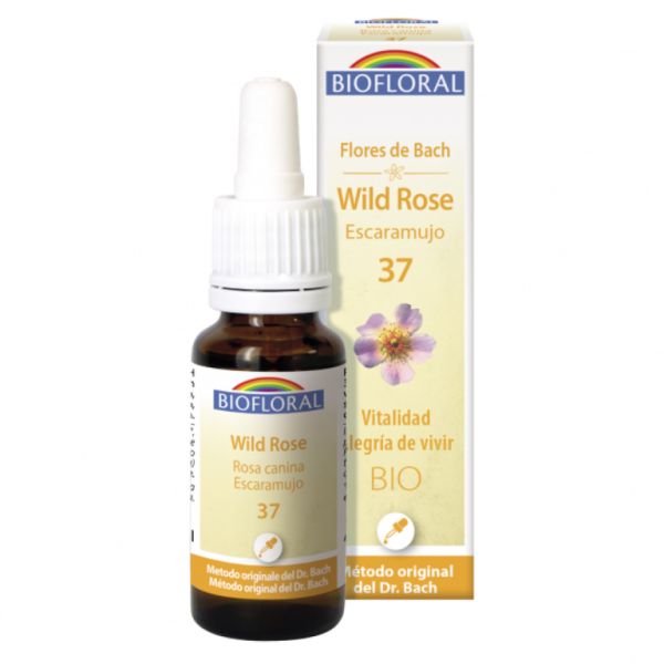 Bach Blommor 37 Wild Rose BIO 20 ml - BIOFLORAL