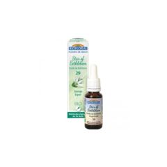 Kaufen BIOFLORAL Bachblüten 29 Stern von Bethlehem 20ml Von 9,90€