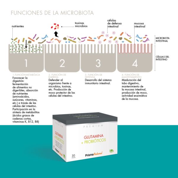 Glutamina e Probióticos 30 Sticks Img 3