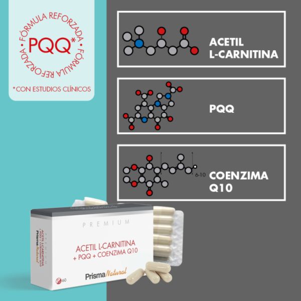 Acetil L-Carnitina PQQ e Coenzima Q10 60 Cápsulas Img 3