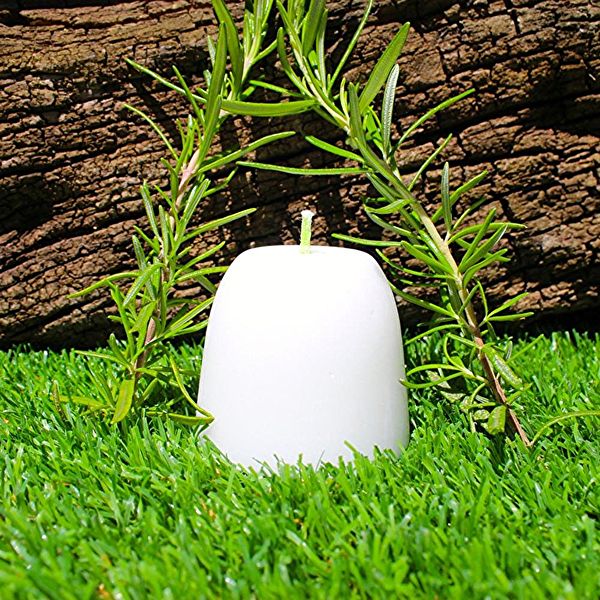 CANDELA ENERGETICA AL ROSMARINO 5 cm (stoppino verde)