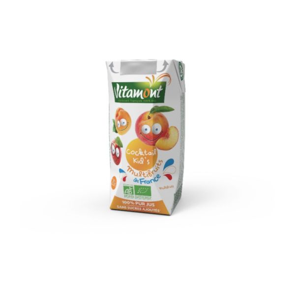 SUC MULTIFRUTES VITAMONT BRICK 6 X 20 CL