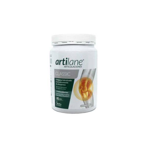 Artilane Classic Pols 300g - ARAMA