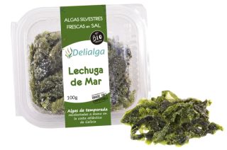 Buy DELIALGA Fresh Sea Lettuce Seaweed BIO 100 g By 2,87€