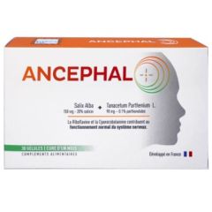 Comprar EVIDENCY L Ancefal 30 Cápsulas Por 21,90€