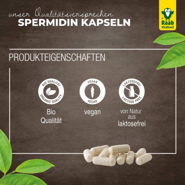 Biologische Spermidine Tarwekiemen 100 Capsules Img 6