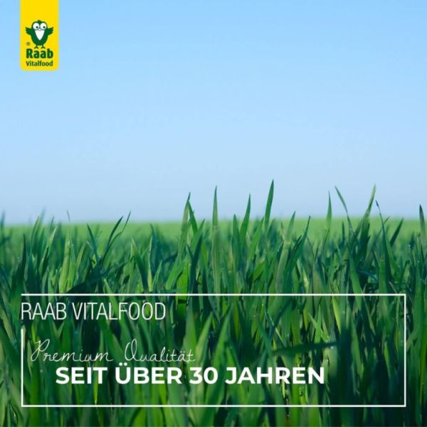 Gerstgroen Poeder 75 g - Raab Vitalfood Img 3