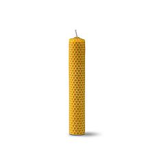 Buy NATURCID Straight Wax Candle 17 cm (diam.2.53cm) Nat By 2,50€