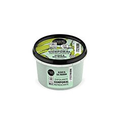 Buy ORGANIC SHOP Atlantic Seaweed Body Scrub 250 ml From From 3,06€