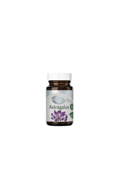 Astragalo 625 mg 60 compresse - El Granero Integral