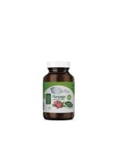 Comprar El Granero Integral Harpago Bio 500 mg 60 cápsulas Por 20,29€