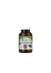 Buy El Granero Integral Bio Artichoke 120 capsules 415 mg By 15,19€